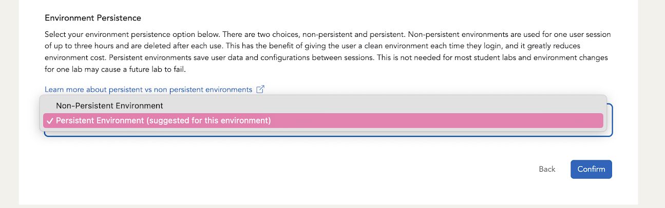 A description of the environment persistence options is shown, and below it are the buttons for selecting your persistence option.