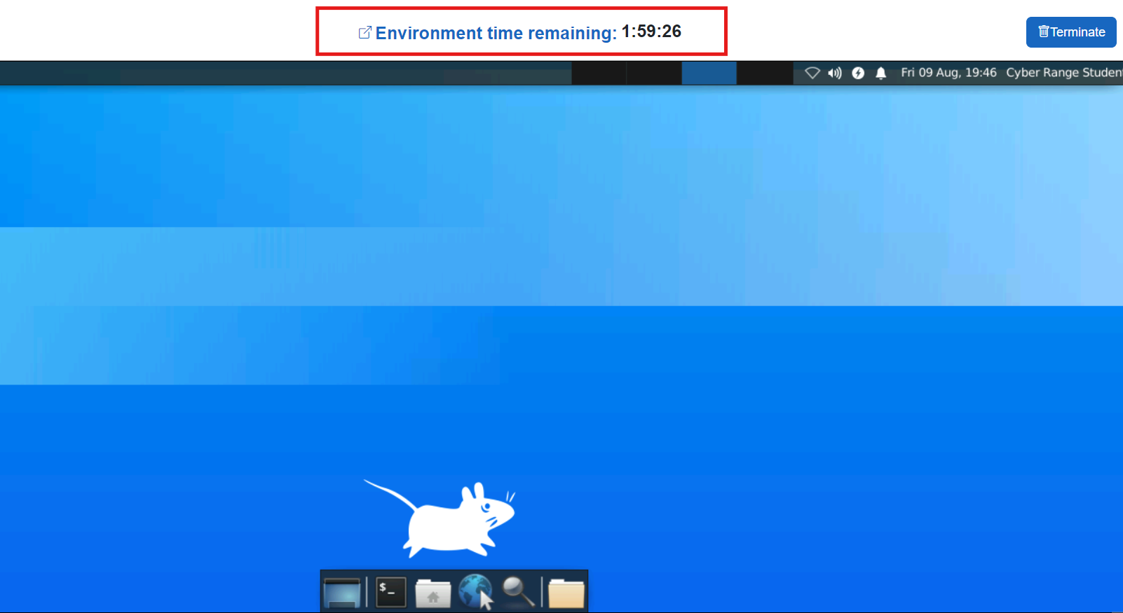 In the exercise environment, the environment time remaining is shown at the top as eight minutes, with a "Terminate" button to its right.